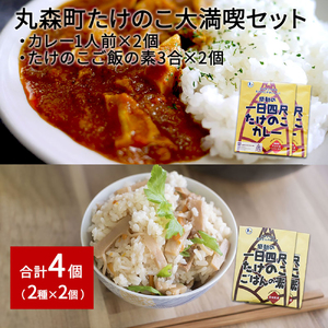 たけのこカレー1人前×2個 たけのこごはんの素3合×2個 合計4個セット【08101】