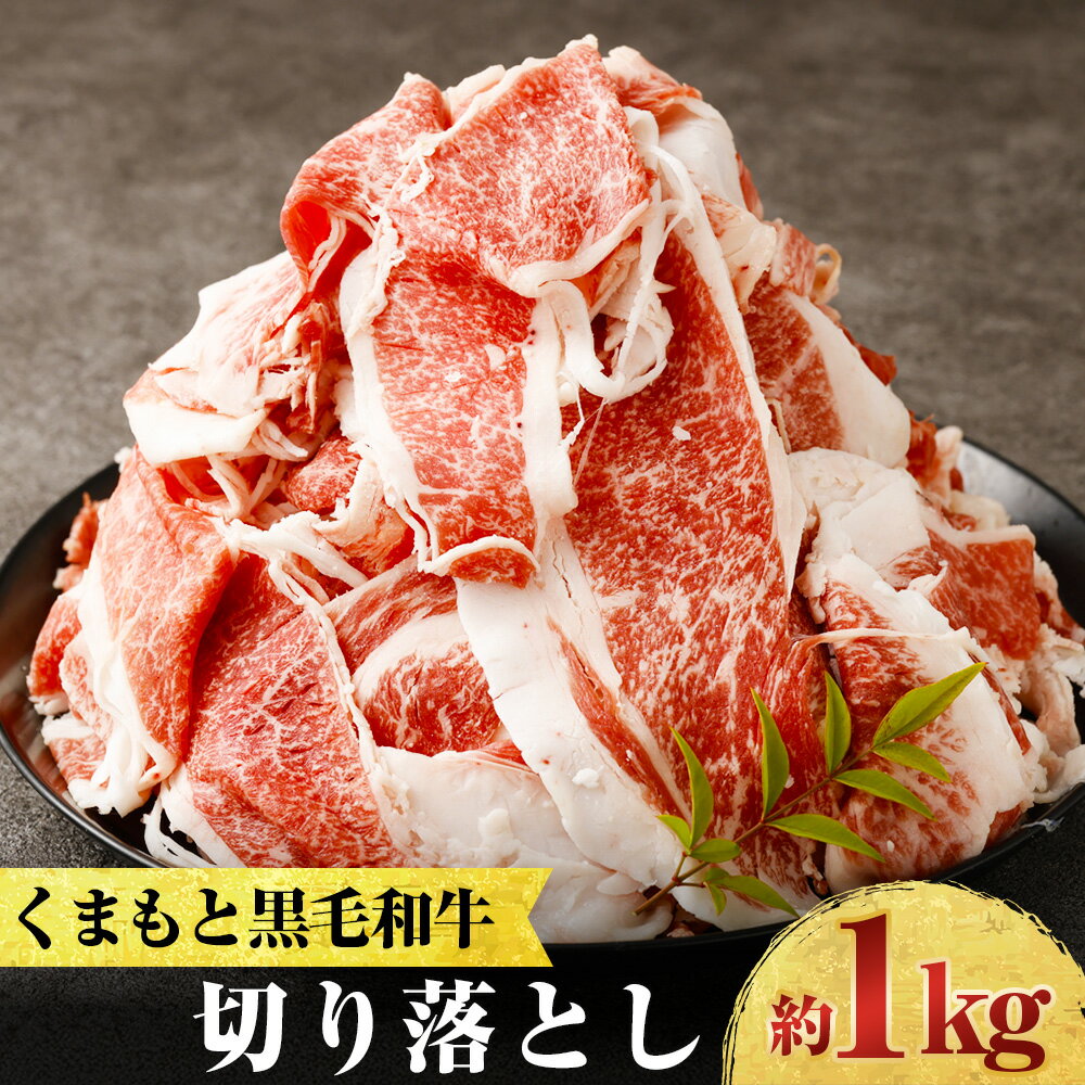 【ふるさと納税】くまもと黒毛和牛 プレミアム和王 切り落とし 計約1kg（約500g×2） 牛肉 お肉 霜降り 冷凍 熊本県産 国産 九州 熊本県 水上村 送料無料