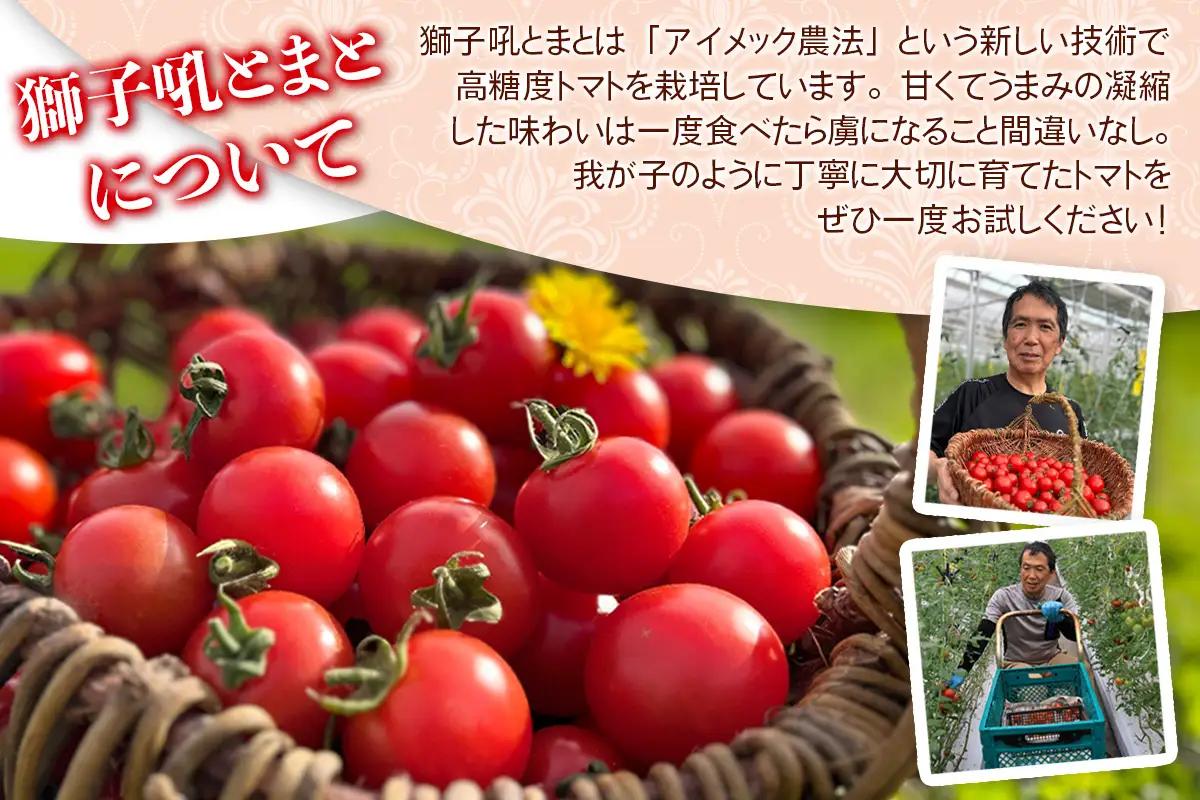 こだわりトマトで作った トマトソース 1本 (300g)｜フルティカトマト プレゼント 贈り物 ギフト [1048]
