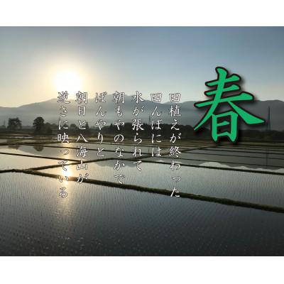 ふるさと納税 南魚沼市 【南魚沼産】コシヒカリ 白米 5kg 香り高く冷めてもおいしい農tistのお米 |  | 02