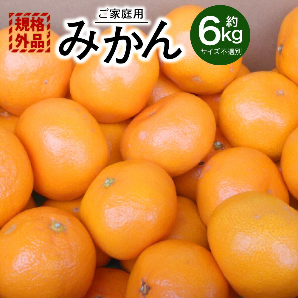 【ふるさと納税】 【規格外品】みかん ご家庭用 約6kg 5000円 サイズ不選別 ミカン 蜜柑 柑橘 果実 フルーツ くだもの 果物 おやつ 熊本県産 国産 冷蔵 先行予約 送料無料 【2025年10月下旬～2026年2月上旬迄発送予定】
