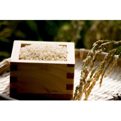 ふるさと納税 竜王町 令和6年産 秋の詩玄米 30kg |  | 01