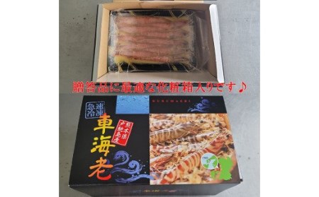 車海老の味噌漬（中～大サイズ）計500g（250g×2）海老 えび 味噌漬け