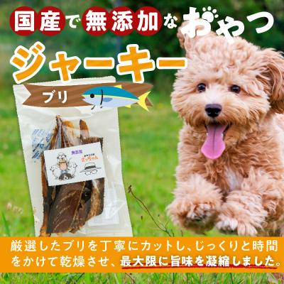 ふるさと納税 小牧市 犬猫用 ペットフード 国産無添加おやつジャーキー ブリ(魚)[143O08] |  | 01