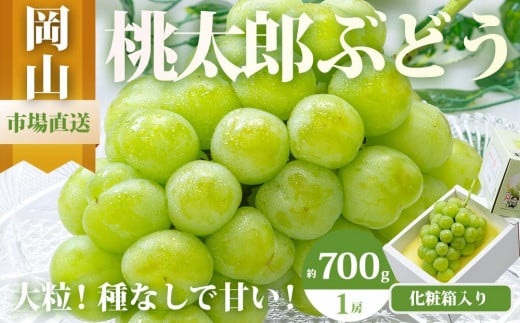 ぶどう 2025年 先行予約 桃太郎 ぶどう 1房（700g以上）化粧箱入り ブドウ 葡萄  岡山県産 国産 フルーツ 果物 ギフト