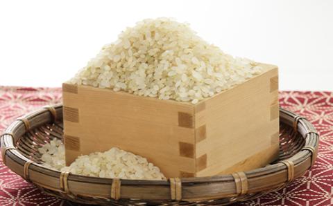 令和7年産　特別栽培米あきたこまち　五分づき米5kg【配送不可地域：離島・沖縄県】