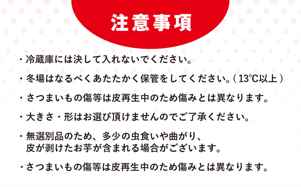 【先行予約】【訳あり】香取市産 さつまいも 紅はるか 約5kg×1 焼き芋やスイートポテトにどうぞ KTRW003 / 芋 サツマイモ さつま芋 紅はるか べにはるか ベニハルカ 焼き芋 焼芋 焼いも