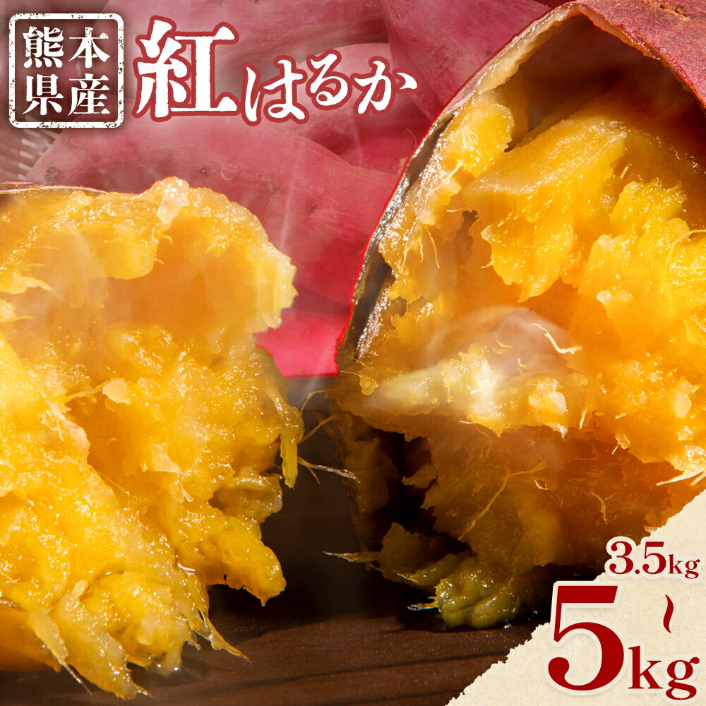 【ふるさと納税】さつまいも 熊本県産 紅はるか 選べる 3.5kg 5kg 日本フルーツ株式会社《11月中旬-6月上旬頃出荷》熊本県 菊池市 さつまいも 薩摩芋 からいも 紅はるか デザート 料理 おやつ 蜜芋 野菜 芋 いも