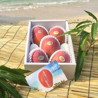 【2026年7月上旬から順次発送・贈答用】島袋さんの完熟アップルマンゴー 1kg(2～3玉)【配送不可地域：離島】