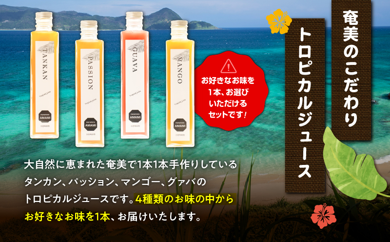 奄美ジュース（グァバ）＆アンダギーセット　A191-003-04