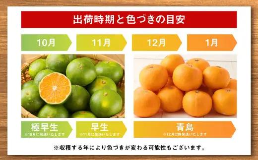 ＜ R8年熊本地震復興支援 ＞＜2026年12月発送予定＞【不揃い】選べる 河内 塩屋みかん 3kg 青島みかん 熊本 国産 みかん 蜜柑 ミカン 果物 くだもの フルーツ