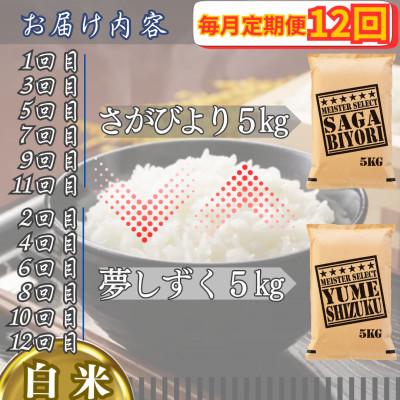 ふるさと納税 江北町 【毎月定期便】食べ比べ白米5kg(さがびより・夢しずく)(江北町)全12回 |  | 02