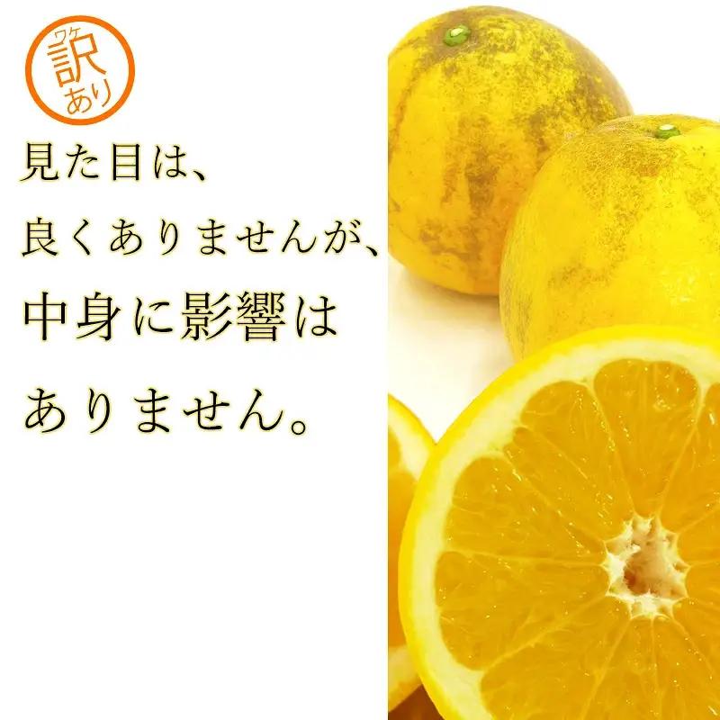 訳あり 河内晩柑 愛南ゴールド 10kg 河内晩柑 吉田農園
