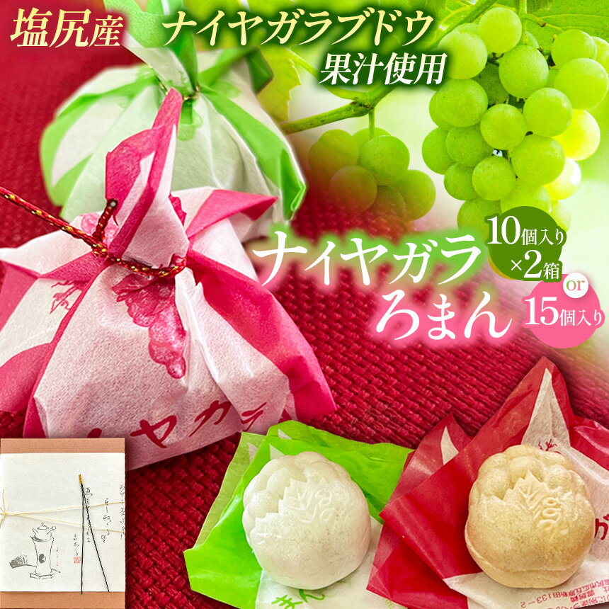 【ふるさと納税】選べる個数！ナイヤガラろまん （ 10個×2箱 or 15個）｜ 最中 ナイヤガラ餡 コンコード餡 ぶどう果汁 ぶどう風味 ギフト 銘菓 人気 塩尻市 長野県