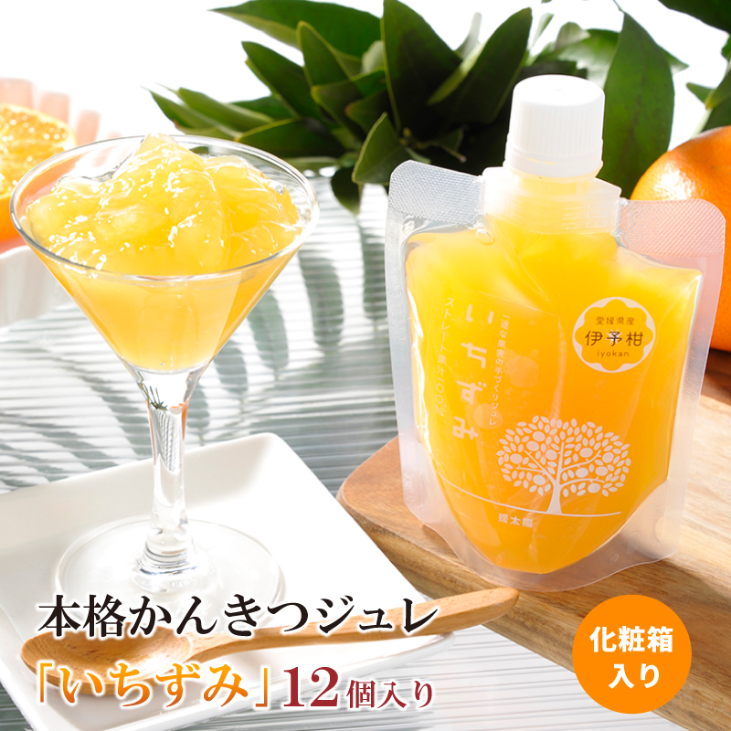 本格かんきつジュレ「いちずみ」 12個入り ( あいか･せとか入り )【化粧箱入り】約2kg (170g×12個) | ゼリー 柑橘ゼリー みかんゼリー 柑橘ジュレ みかん スイーツ 愛果 せとか 愛媛県 松山市 ココオ Koko'o