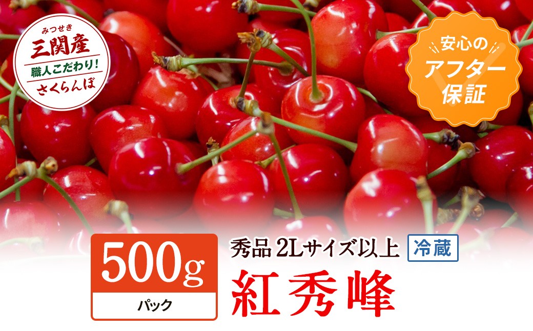 
                  令和9年産 先行予約 数量限定！「冷蔵」紅秀峰 500g 秀2Lサイズ以上 さくらんぼ 果物 フルーツ 秋田県  湯沢市 三関【田村果樹園】[H10804]
                