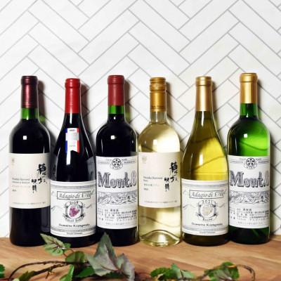 ふるさと納税 韮崎市 韮崎ワイナリーの飲みくらべ6本セット　NS-0006