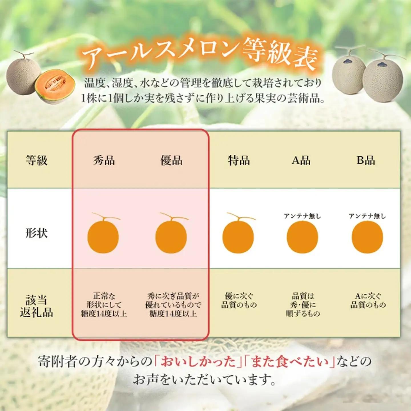 メロン 赤肉 茨城県産 R8年産 アールスメロン 約7.5kg 3～6個