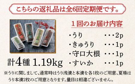 漬物 【全6回定期便】 奈良漬 4種 1.19kg [ABAE047] 漬物