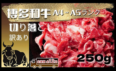 博多和牛 A4ランク以上 切り落とし 博多和牛【250g】【訳あり】【定期便 全12回】