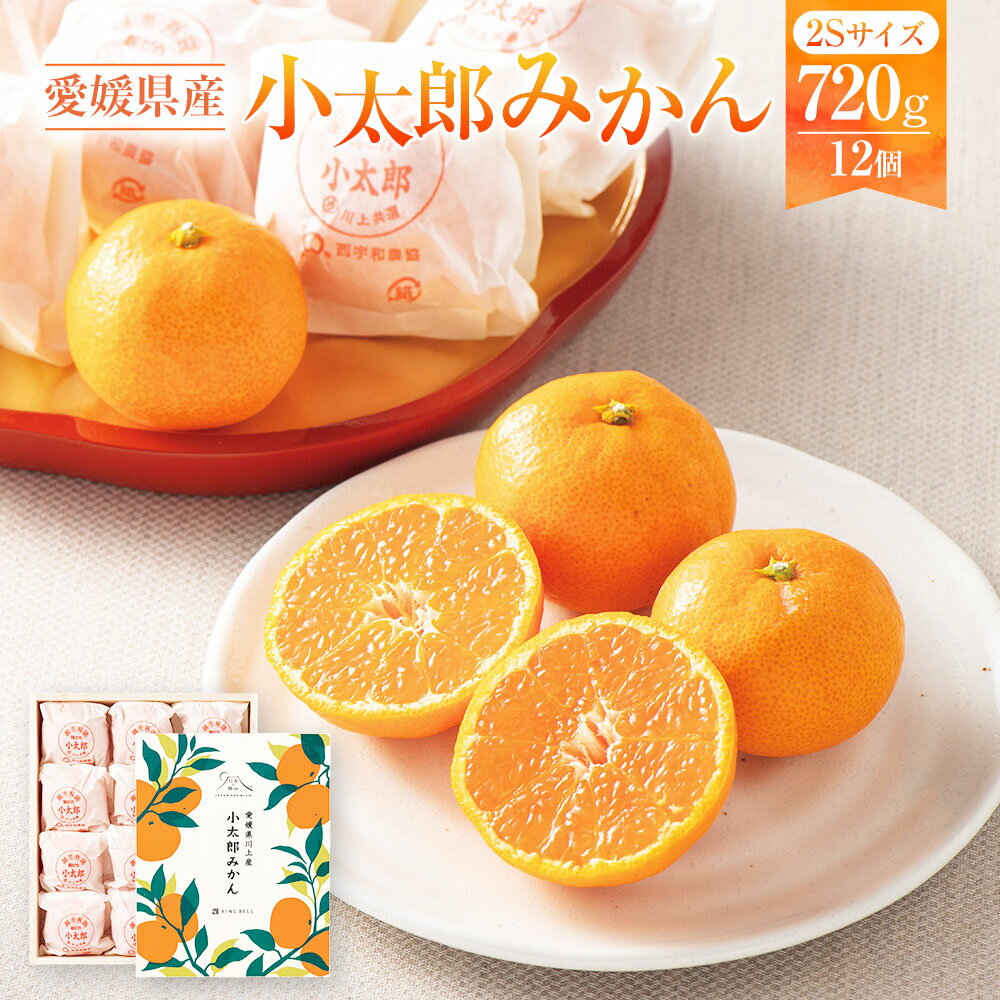 【ふるさと納税】愛媛県産 小太郎みかん 2Sサイズ 約720g 12個 みかん ミカン 蜜柑 柑橘 果物 くだもの フルーツ おやつ デザート 国産 愛媛県 送料無料【2026年1月上旬～1月下旬発送予定】(872)