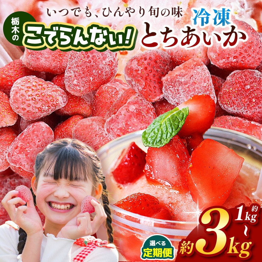 【ふるさと納税】いちご とちあいか 冷凍 イチゴ 苺 定期便 選べる 1kg 2kg 3kg 栃木のこでらんない冷凍イチゴ｜果物 厳選 朝摘み フルーツ スイーツ 甘い アレンジ 手作り おいしい 人気 好評価 高糖度 冷凍いちご 送料無料 大粒 ジューシー 映え 産地直送 栃木県 真岡市