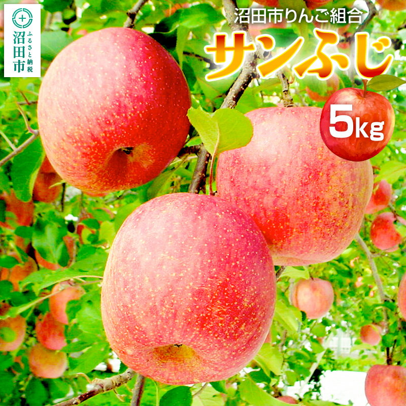 【ふるさと納税】《12月中旬〜下旬発送》沼田市りんご組合 りんご（サンふじ）約5kg 群馬県沼田市