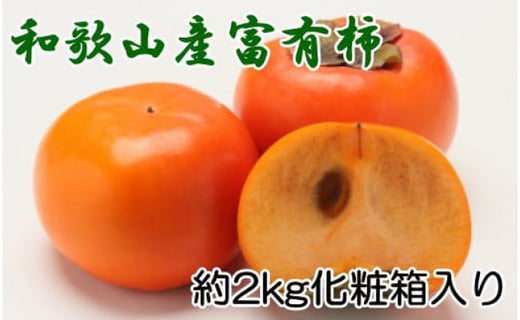 
            ［厳選・産直］和歌山産の富有柿約2kg（化粧箱入り）（2L～4Lサイズ）★2025年11月頃より順次発送【TM59】
          