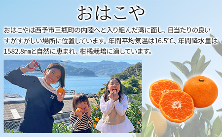 ＜おはこやがつくる 高品質みかん 約2kg（S～Lサイズ）＞ 果物 くだもの フルーツ 柑橘 みかん ミカン 蜜柑 まろやか 絶妙 特産品 西宇和 おはこや 愛媛県 西予市 【常温】『2026年11月