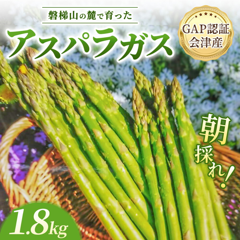 【ふるさと納税】【朝採れ 当日発送】磐梯山の麓で育った アスパラガス 1.8kg （Lサイズ） | 甘い 生産者直送 産地直送 野菜 はんざわエコファーム 猪苗代産 ※2026年4月中旬～10月中旬頃に順次発送予定 ※沖縄・離島への配送不可
