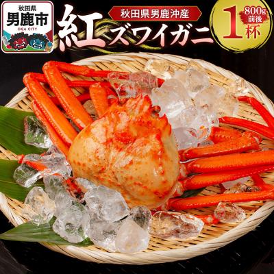 ふるさと納税 男鹿市 男鹿沖産紅ズワイガニ 800g 前後×1杯 男鹿なび 蟹 国産 秋田|23_ogn-180101