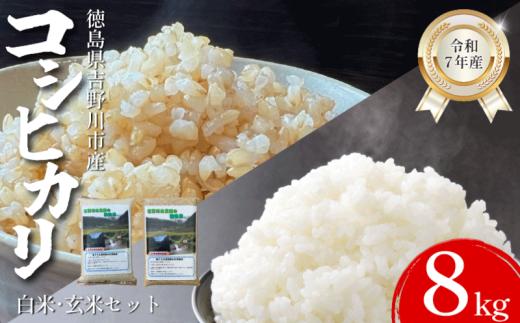 【先行予約】令和7年産 米 選べる 容量 8kg （玄米2㎏×2袋、白米2㎏×2袋） コシヒカリ 令和7年度産 玄米 白米 セット 小分け 便利 お米 こめ 棚田米 白米 精米 ごはん ご飯 白飯 ゴハン 徳島県 吉野川市