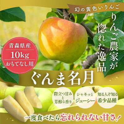 【ふるさと納税】【10月より順次発送】青森県産りんご ぐんま名月 約10kg おもてなし用 平均糖度13度以上!【配送不可地域：離島・沖縄県】【1609632】