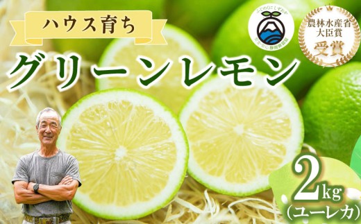 【農林水産大臣賞  先行予約 国産 レモン】選べる 内容量 グリーンレモン 2kg れもん 檸檬 Lemon 柑橘類 柑橘 フルーツ 果物 酸っぱい 果肉 酸味 甘み 防腐剤不使用  受賞農園 皮食べられる 自宅用 贈答品 レモンスカッシュ レモンパウンドケーキ レモンサワー くだもの 家庭用 静岡県産 農家直送 産地直送 産直   グリーン レモン 大関農園  静岡 県 牧之原 市