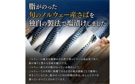 塩さばフィレ 3kg(約20枚前後） / 切り身 切身 サバ 鯖 焼き魚 甘塩 冷凍 おかず お弁当 和歌山県 田辺市 / 切り身 切身 サバ 鯖 焼き魚 甘塩 冷凍 おかず お弁当 和歌山県 田辺市