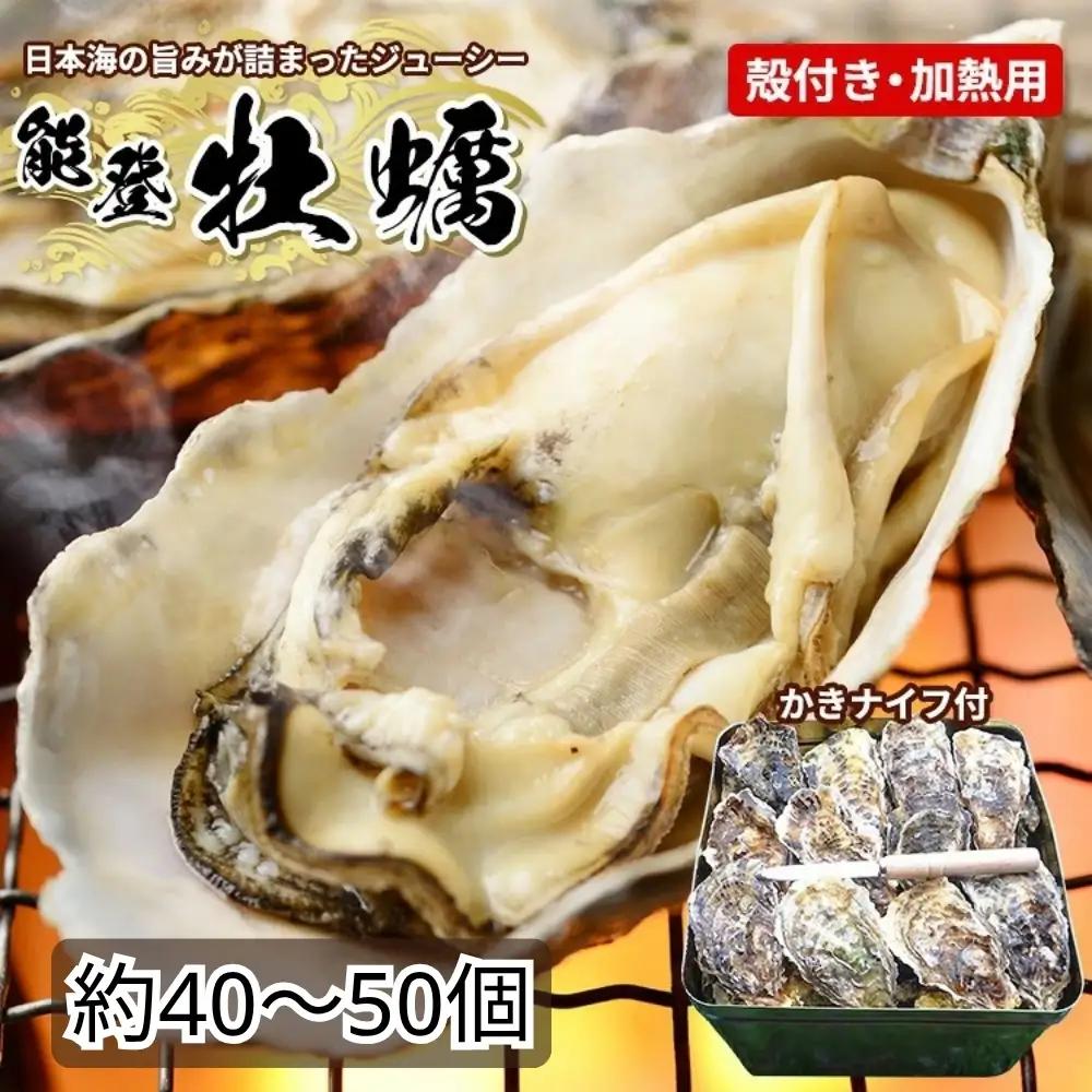 牡蠣 加熱用能登かき 殻付き・半斗缶［約40～50個］ | 牡蠣 ※2026年12月～発送