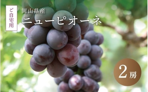 真庭市産 ニューピオーネ 自宅用 2房 /  (2025年8月中旬以降発送予定) ぶどう 自宅用 訳あり 岡山 真庭 ピオーネ 真庭市 大粒 葡萄 果物 フルーツ 産地直送 新鮮 濃厚 ピオーネ 人気 数量限定 お買い得 岡山名産 スイーツ 種なし  【pione04】