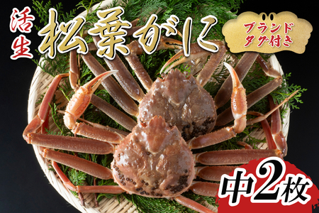 【活生】ブランドタグ付き松葉ガニ 中2枚 2026年11月～順次発送｜鳥取 岩美 松葉がに かに【22052】