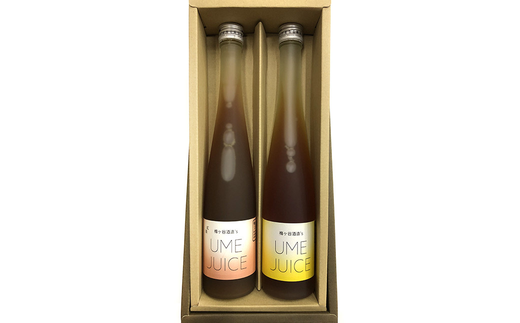 
梅ジュース 紅茶梅ジュース 2本セット 計750ml（375ml×2本） ジュース
