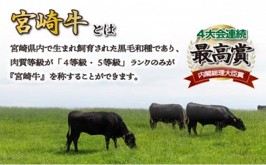 SKFIL＜2026年1月発送分＞宮崎牛ヒレステーキ（真空パック）