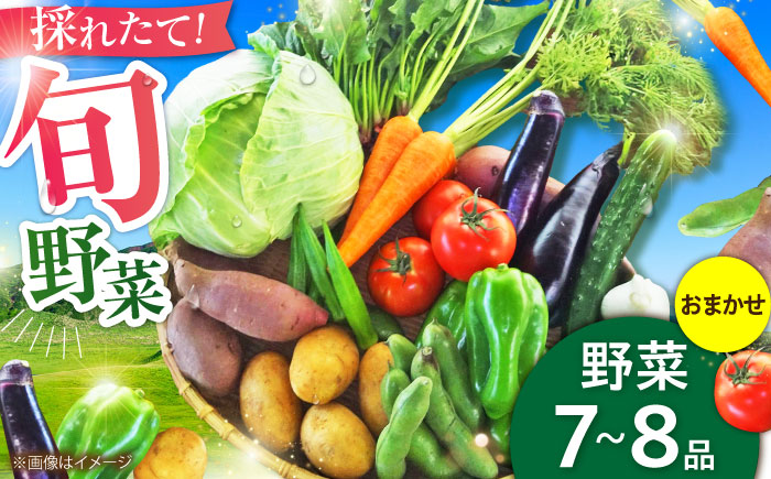旬の 野菜 セット (約3kg/野菜7-8品程度) / 野菜 新鮮 旬 詰合せ セット 熊本県 菊陽町 特産品 【有限会社さんふれあ】 [BHAK023]