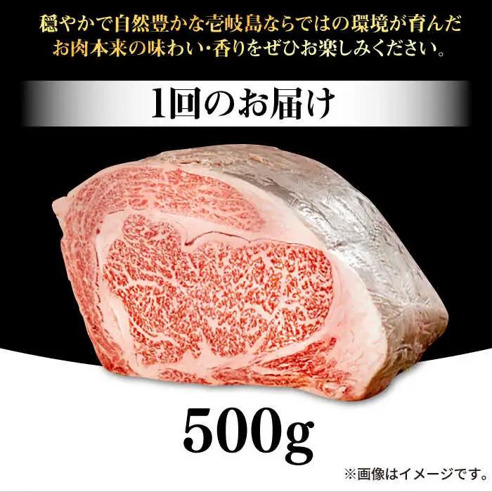 【全12回定期便】 壱岐牛 ロースブロック 500g《壱岐市》【株式会社イチヤマ】 肉 牛肉 ロース ブロック ステーキ BBQ [JFE049] 372000 372000円