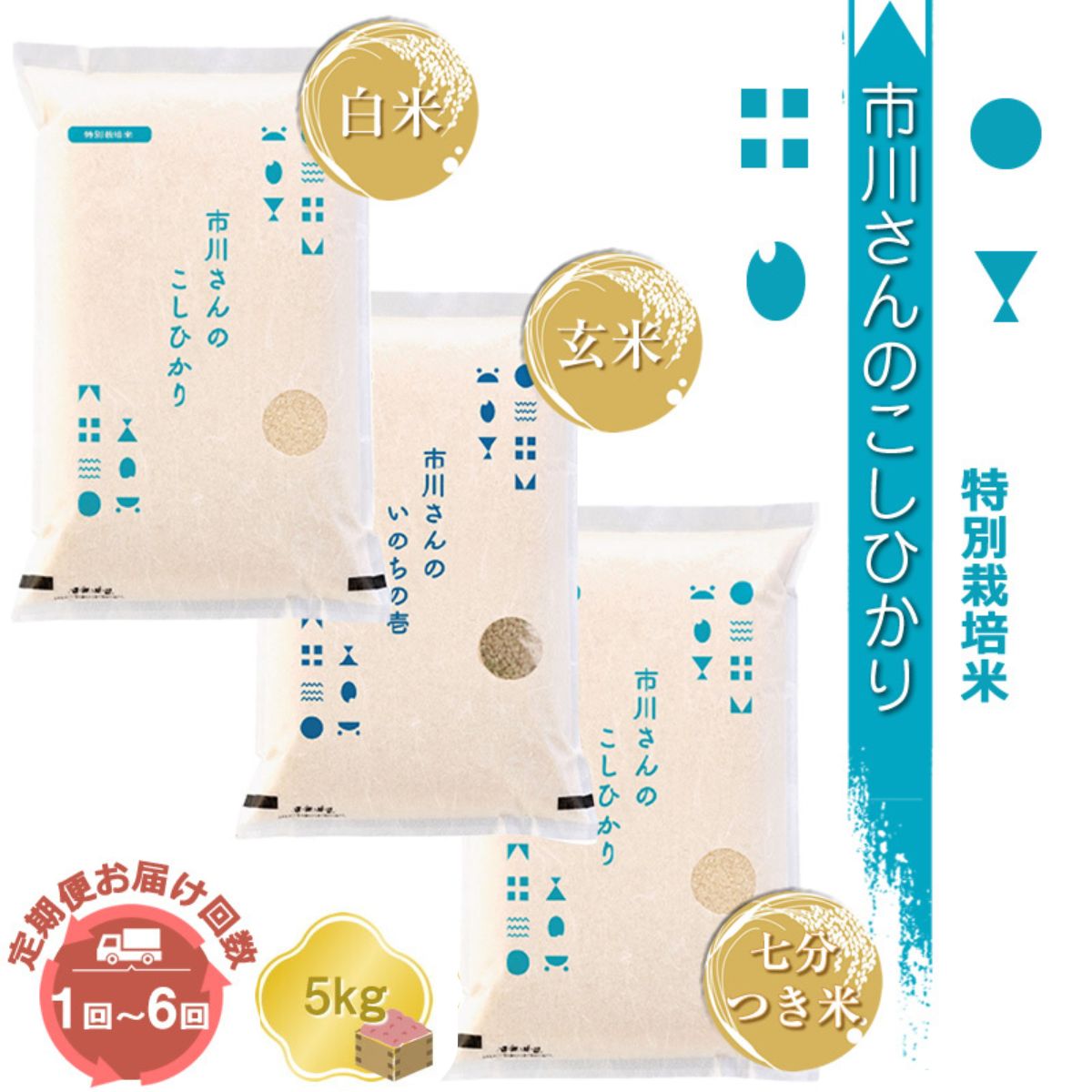 【ふるさと納税】【令和7年産】特別栽培米 市川さんのこしひかり （2025年11月出荷開始予定） | 選べる種類 お届け回数 定期便 | 先行予約 新米 白米 玄米 7分つき米 5kg信州 国産