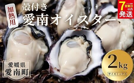 【7営業日以内発送】愛南 オイスター 2kg  牡蠣 加熱用 殻付きかき