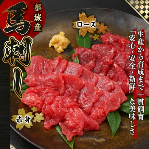 【敬老の日】都城産「桜肉」馬刺し ロース・赤身ブロック300gセット≪9月11日～15日お届け≫_MJ-0119-KG