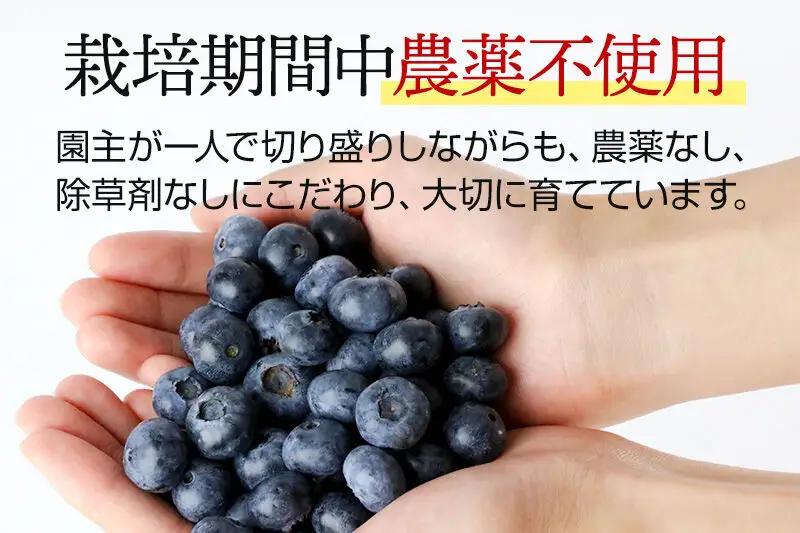 《7月中旬～8月中旬発送》栽培期間中農薬不使用 ブルーベリー 約350g×3個 ベリーガーデン