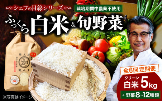 【全6回定期便】【お米 5kg＋野菜】シェフの目線で厳選！ クリーン白米 5kg+旬のお野菜セット【ふるさと納税限定】大洲市/（有）ヒロファミリーフーズ [AGBX010] お米 5kg 白米 5kg あきたこまち 野菜定期便 野菜 定期便 野菜 詰め合わせ 野菜セット