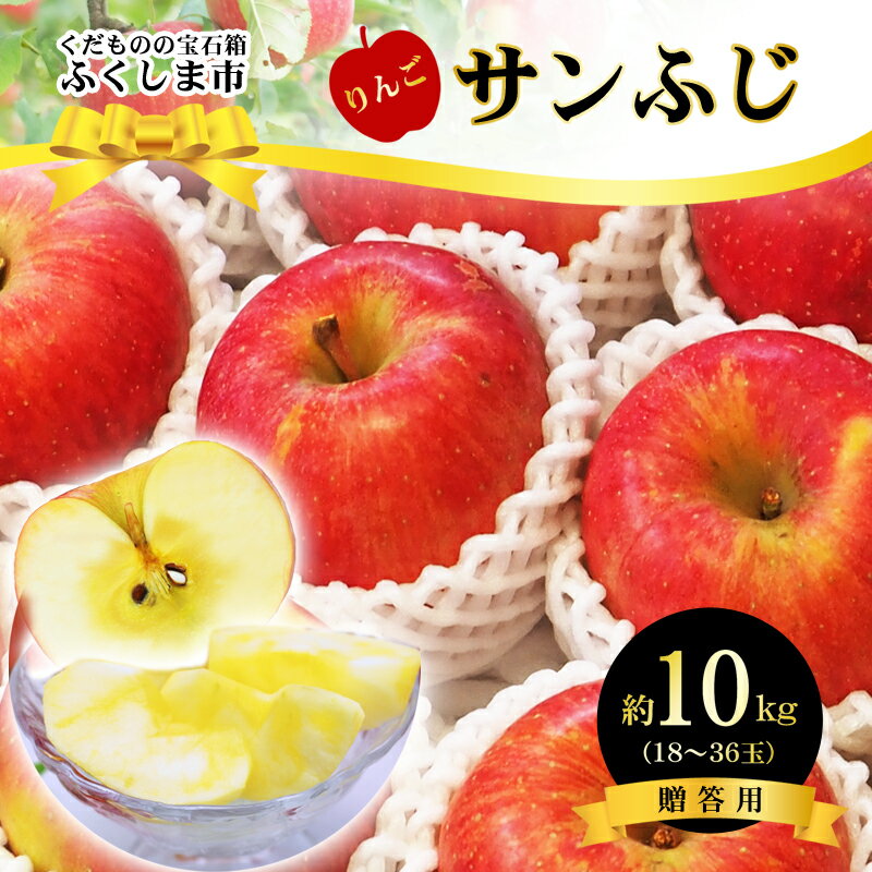 【ふるさと納税】No.2772 ふくしまのサンふじりんご　約10kg【2025年度発送】