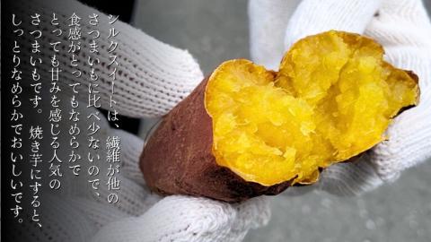 シルクスイート 約10kg 【茨城県共通返礼品／行方市】2024年11月から発送開始 渋谷農園 さつまいも  いも 芋 焼芋 [DT010sa]