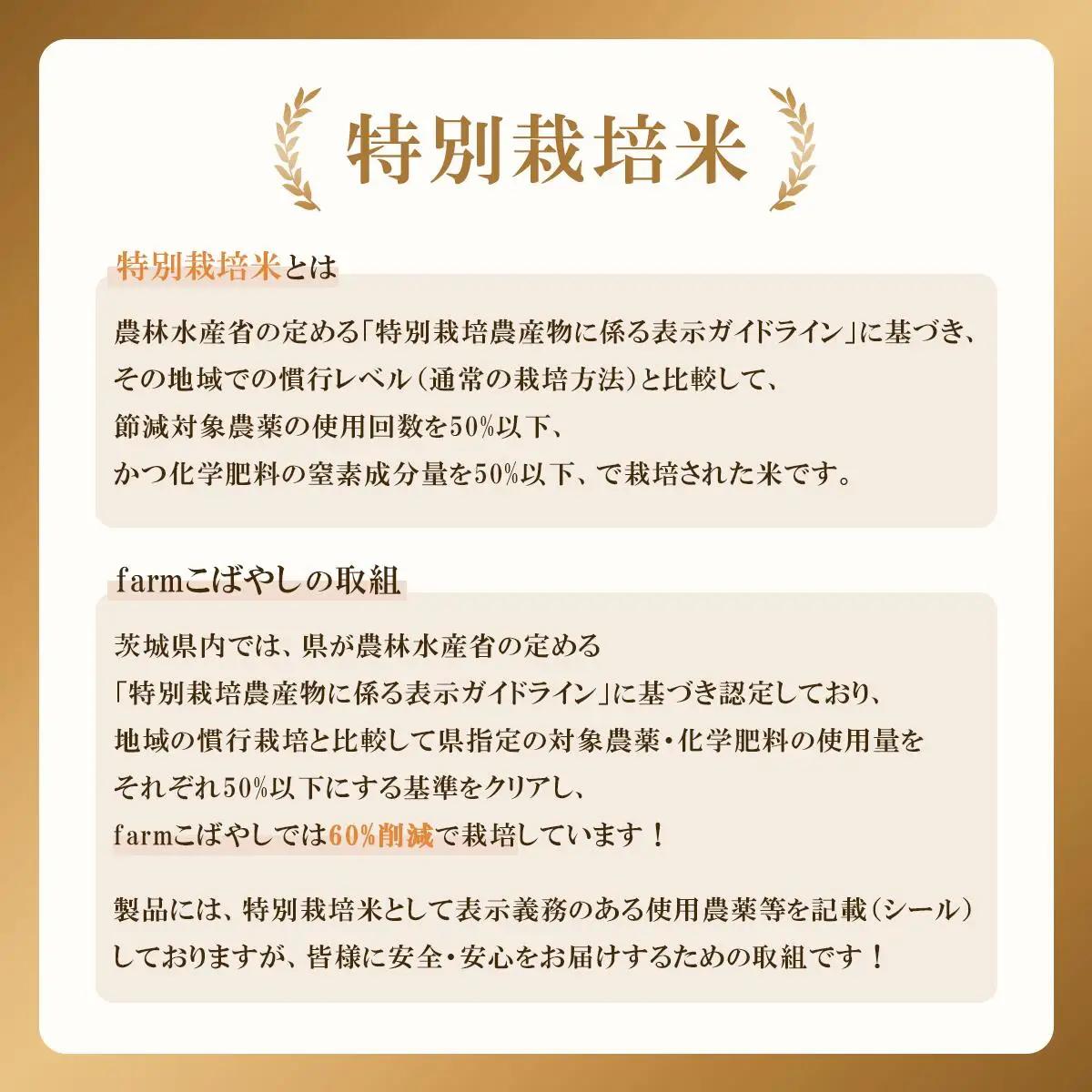 こしひかり 新米 精米 5kg 10月出荷 こしひかり